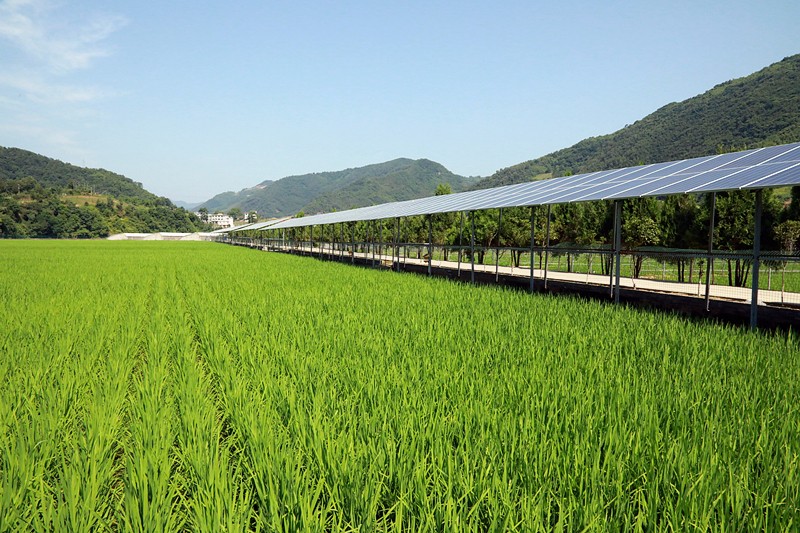 1528849748841149fgBo.jpg 7G6A3925_¸±±¾.jpg